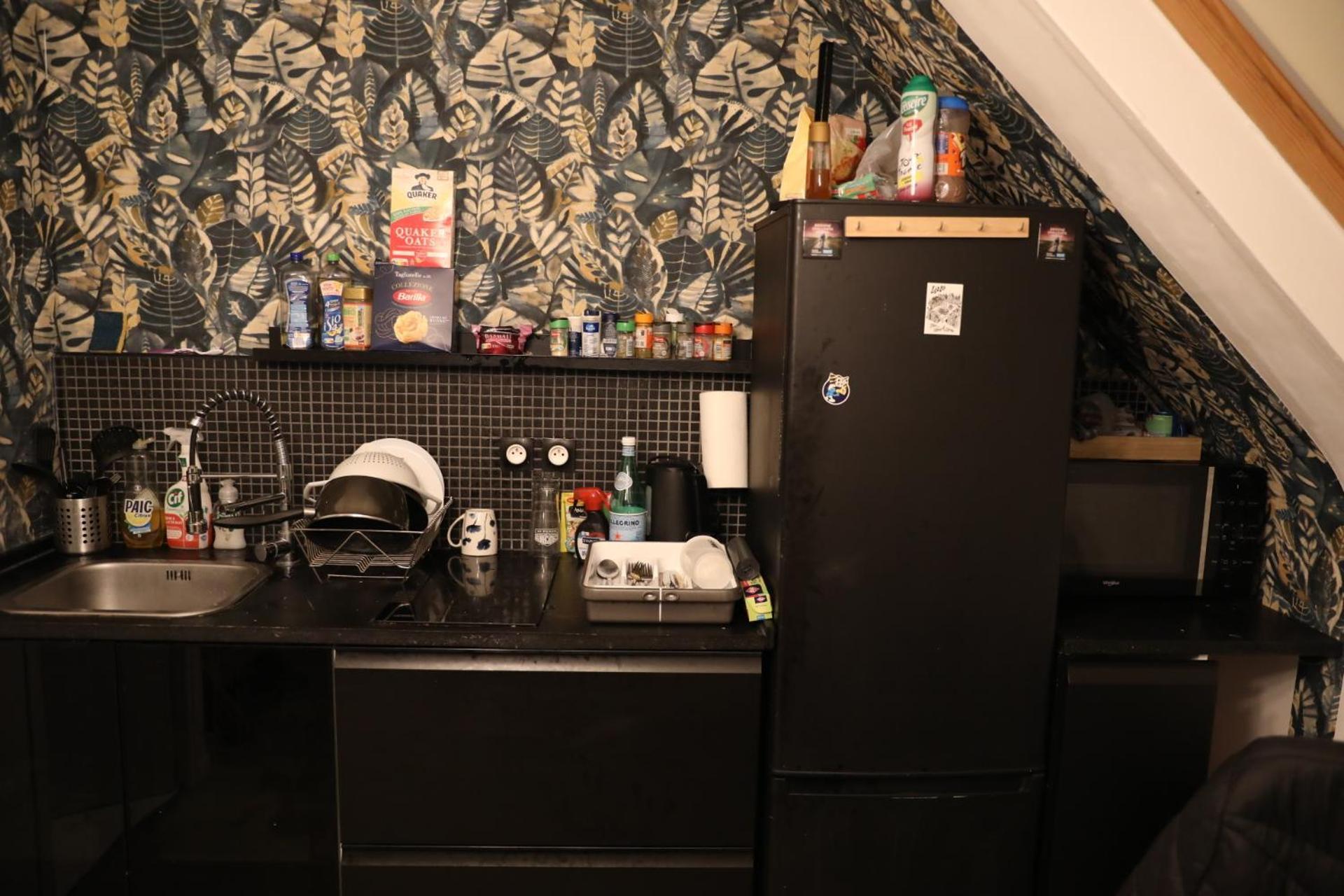 Appartement Spacieux Lille Eksteriør billede